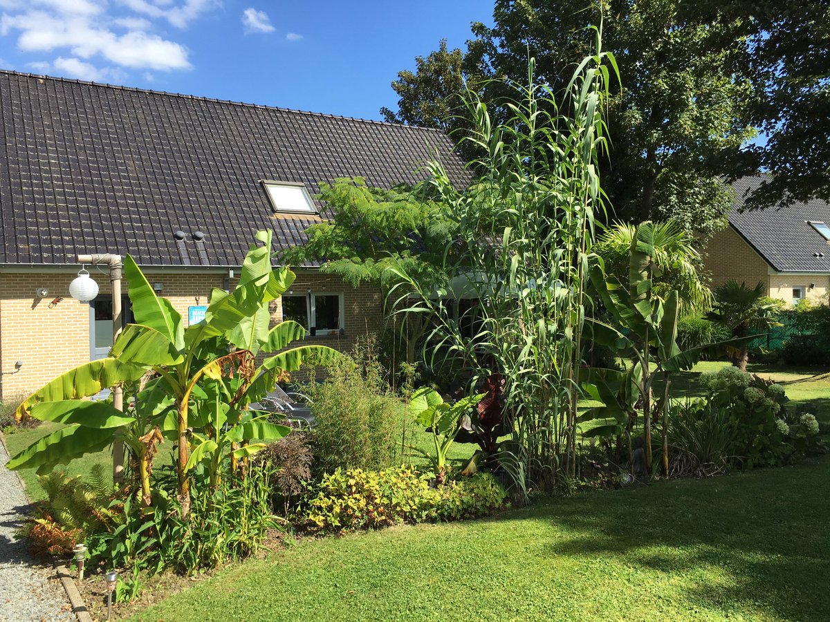 lapalmeraie1