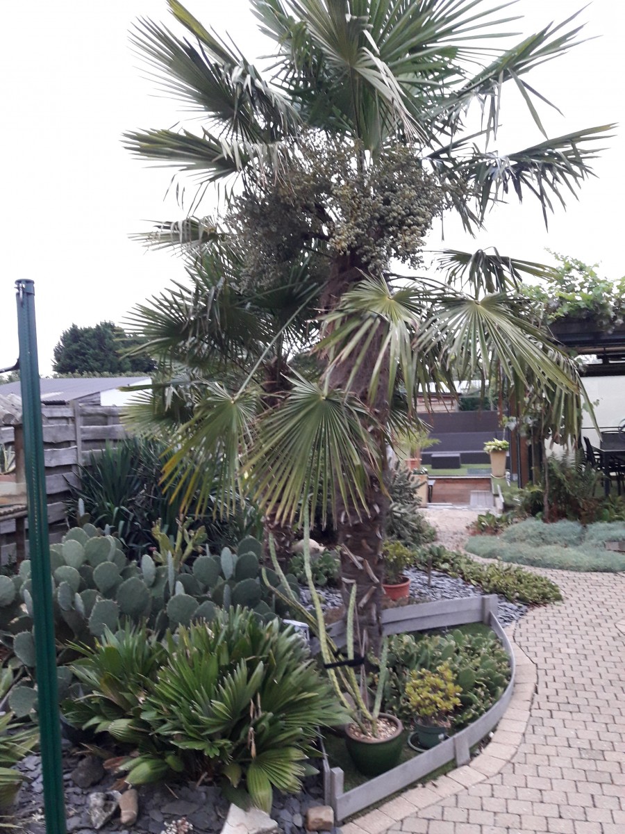Exotentuin
