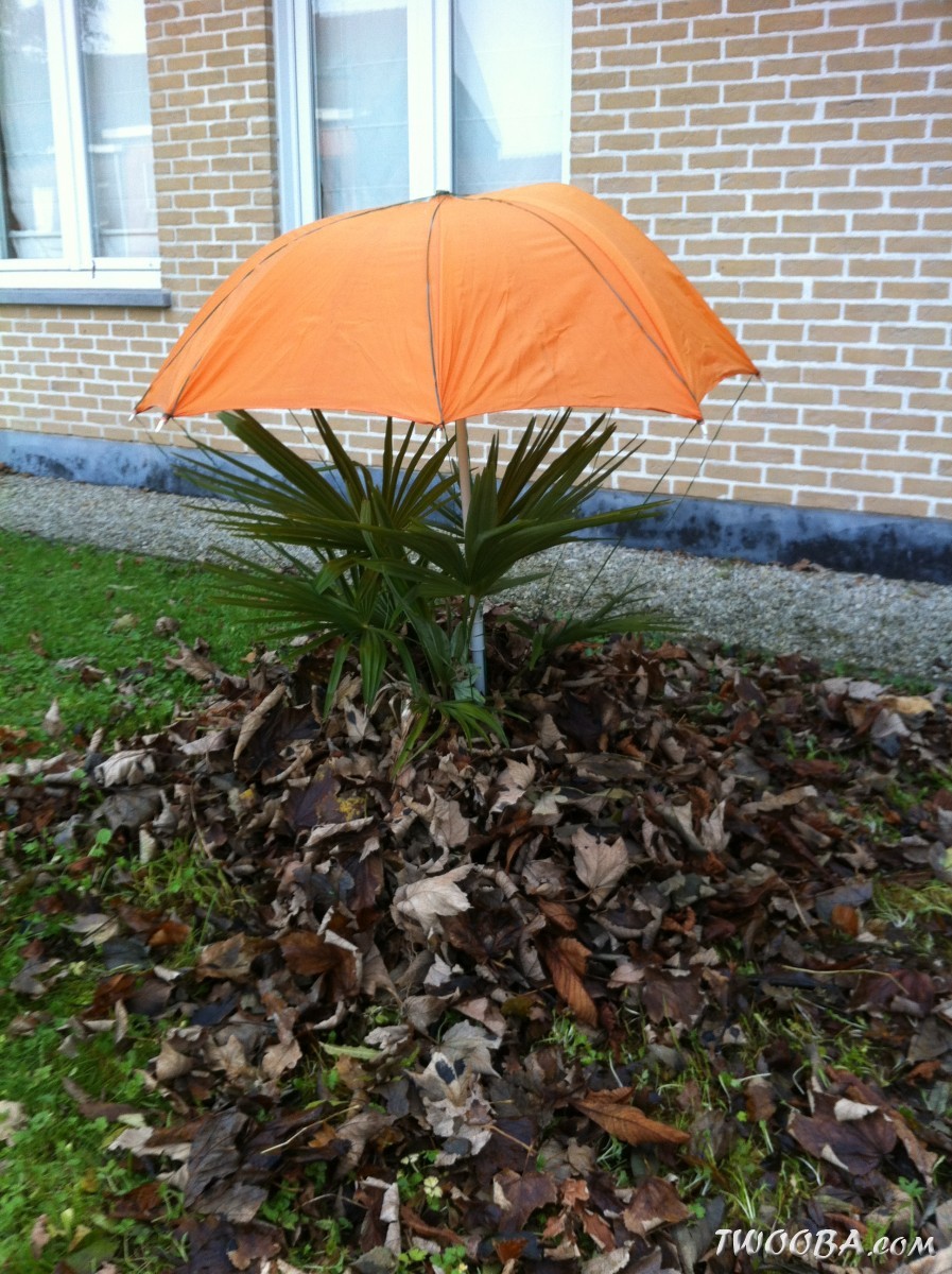 stuks Palmboom Winterbescherming - Winterhoes voor Palmbomen - Bescherming tegen de