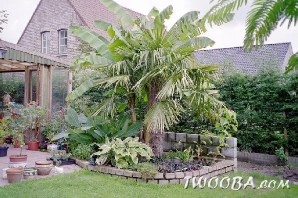 exotuindiksmuide2